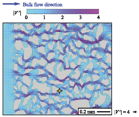 Averaged velocity field of the prefront-passage of CO2